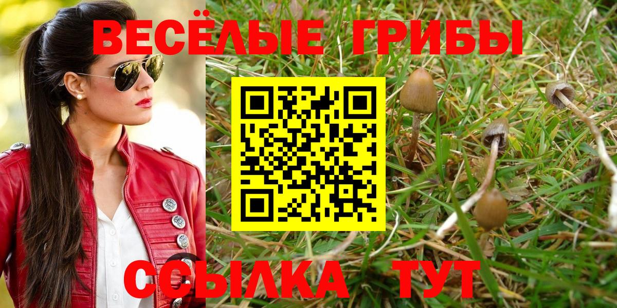 Псилоцибиновые грибы ЛСД Янаул