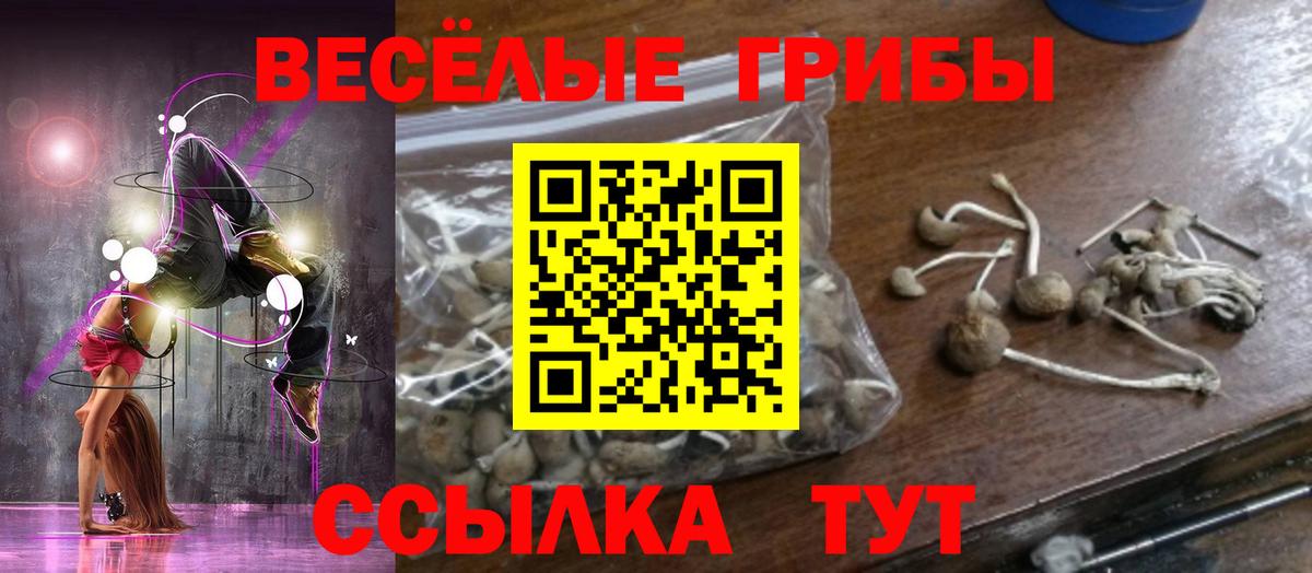 Галлюциногенные грибы MAGIC MUSHROOMS  Вход с VPN  Псилоцибиновые грибы мухоморы  Янаул 